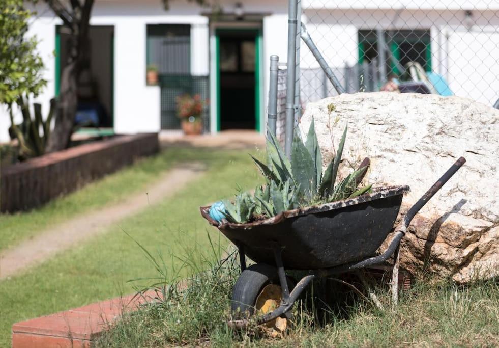 Cottage Eco-Friendly Barcelona Country Side La Garriga Bagian luar foto