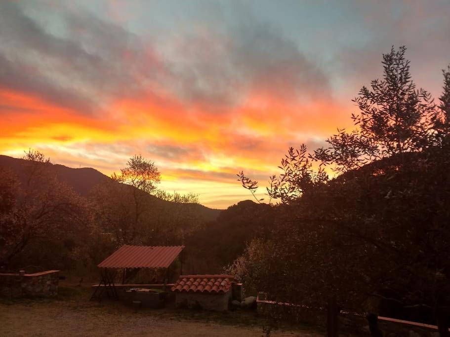 Cottage Eco-Friendly Barcelona Country Side La Garriga Bagian luar foto