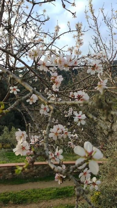 Cottage Eco-Friendly Barcelona Country Side La Garriga Bagian luar foto